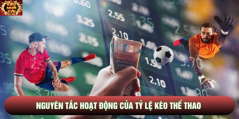 Nguyên tắc hoạt động của tỷ lệ kèo thể thao Nguyên tắc hoạt động của tỷ lệ kèo thể thao